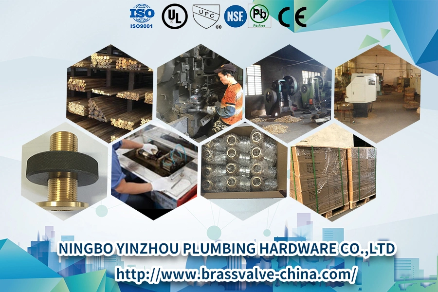 Male Threaded PPR Union Brass Fittings PPR Pipe Fittings